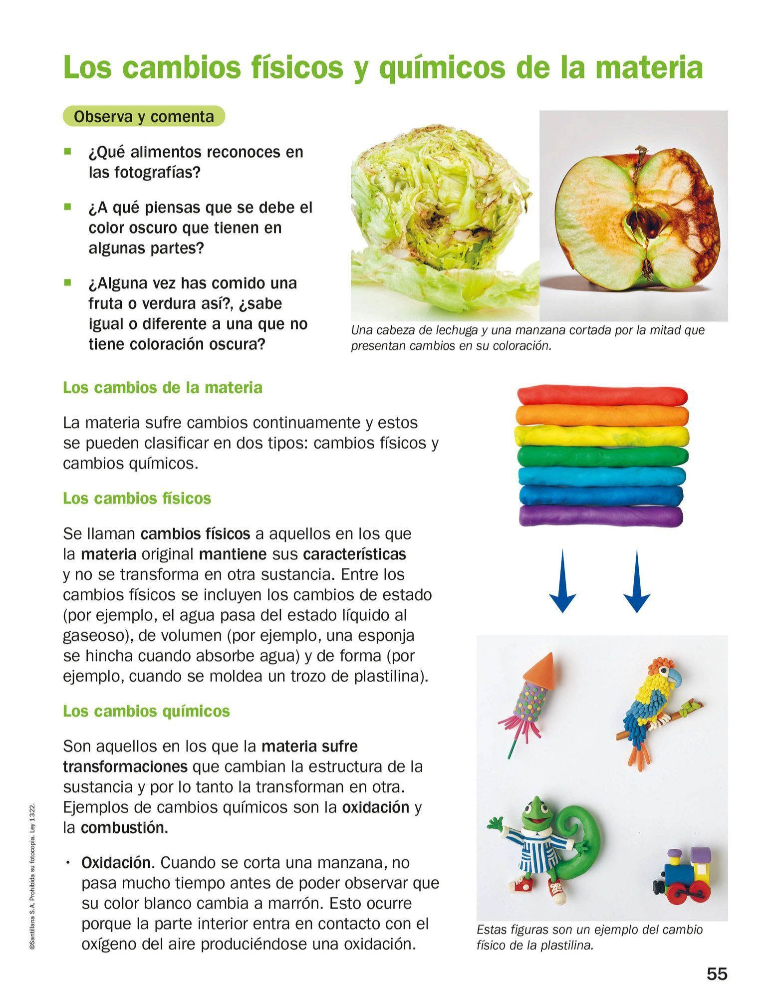 Index of /Recursos/Mi-Mochila-Todo-Genially/Ciencias_Naturales/Cuarto ...