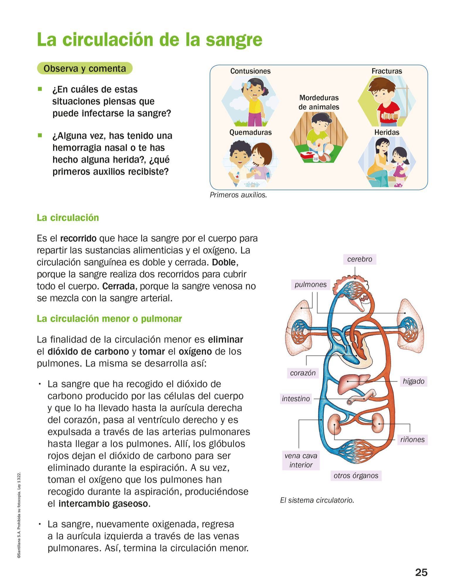 Index of /Recursos/Mi-Mochila-Todo-Genially/Ciencias_Naturales/Cuarto ...