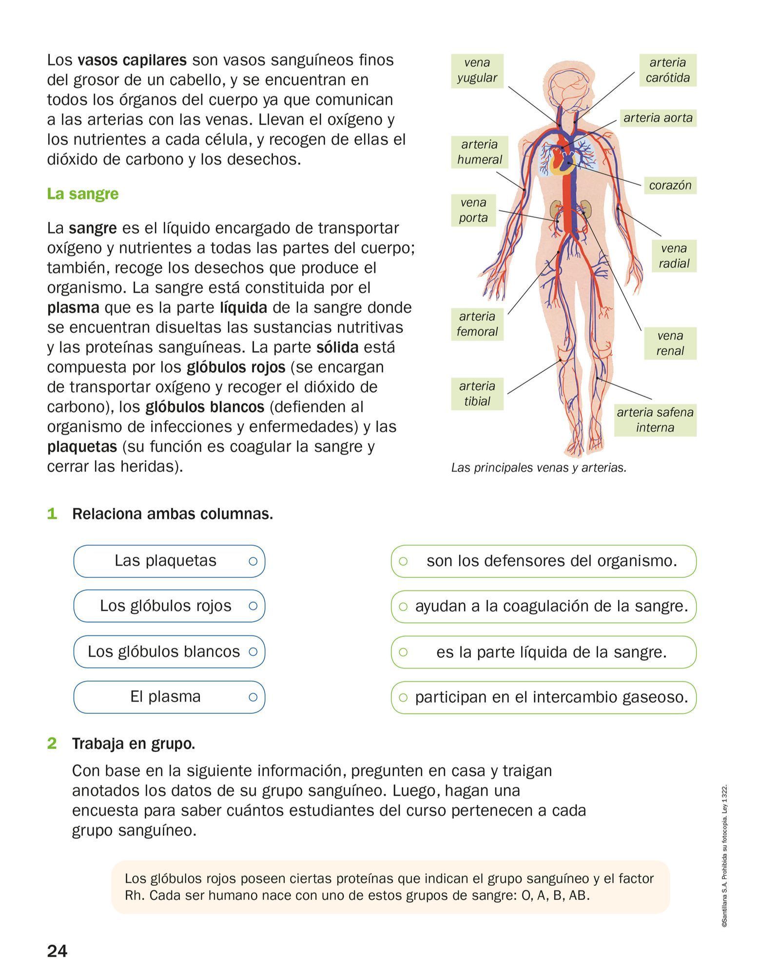 Index of /Recursos/Mi-Mochila-Todo-Genially/Ciencias_Naturales/Cuarto ...