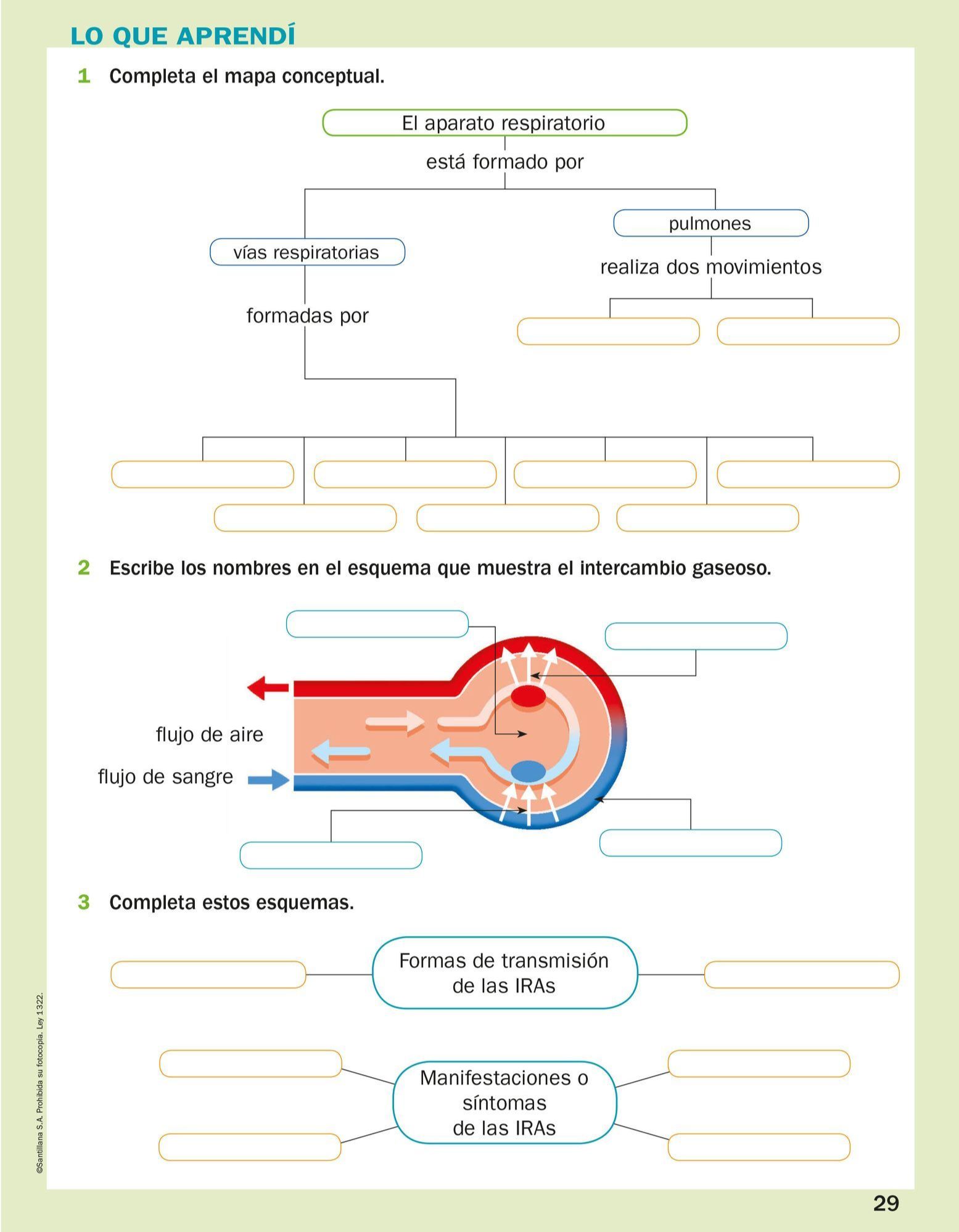 Index of /Recursos/Mi-Mochila-Todo-Genially/Ciencias_Naturales/Cuarto ...