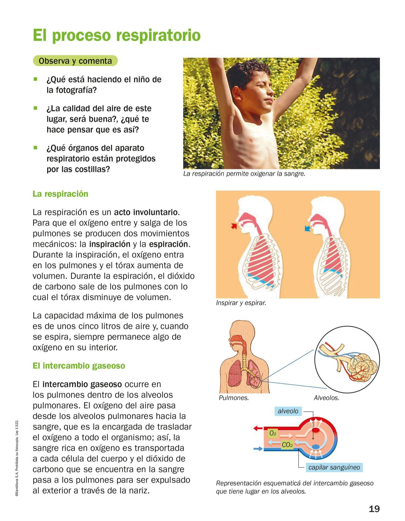 Index of /Recursos/Mi-Mochila-Todo-Genially/Ciencias_Naturales/Cuarto ...