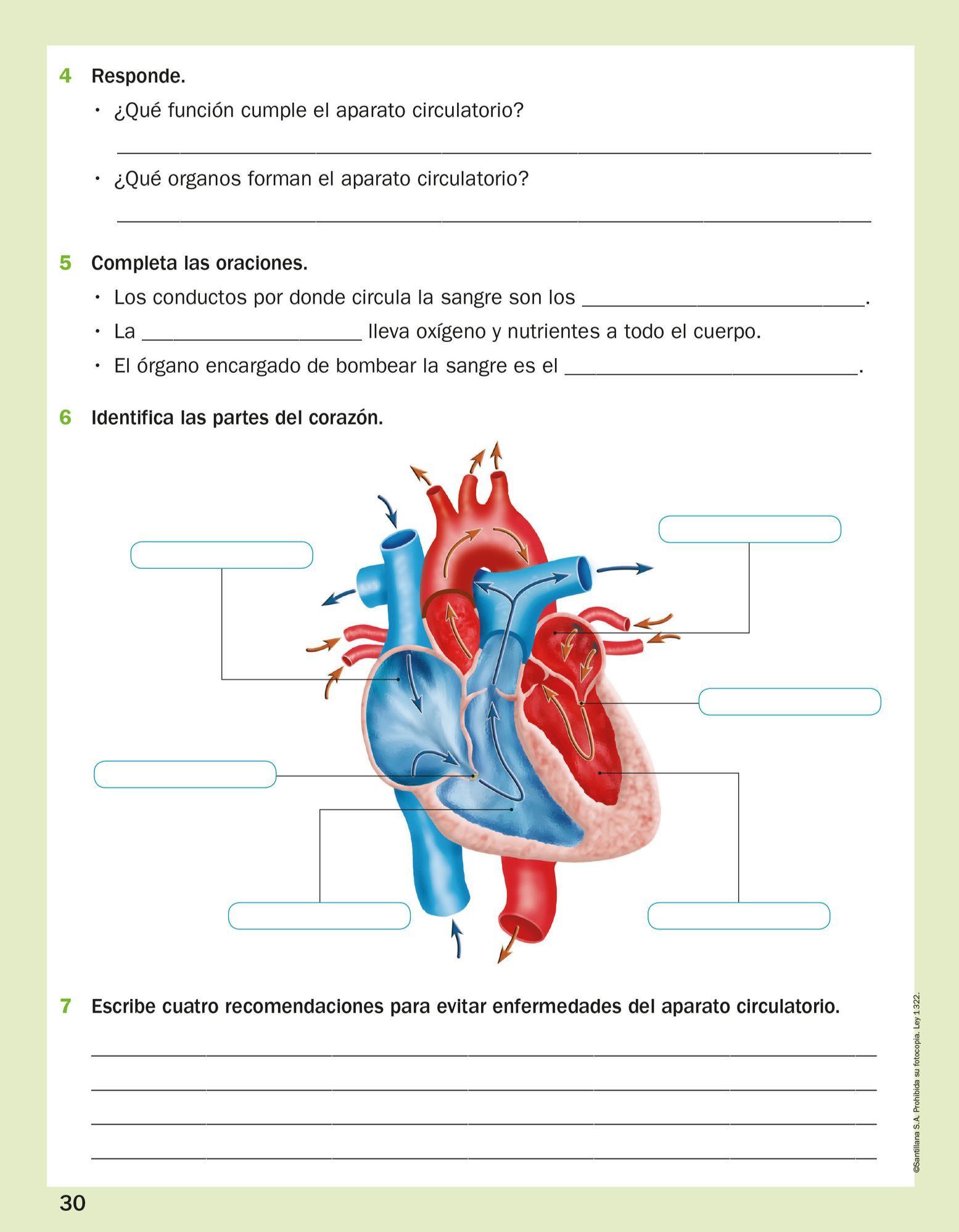 Index of /Recursos/Mi-Mochila-Todo-Genially/Ciencias_Naturales/Cuarto ...