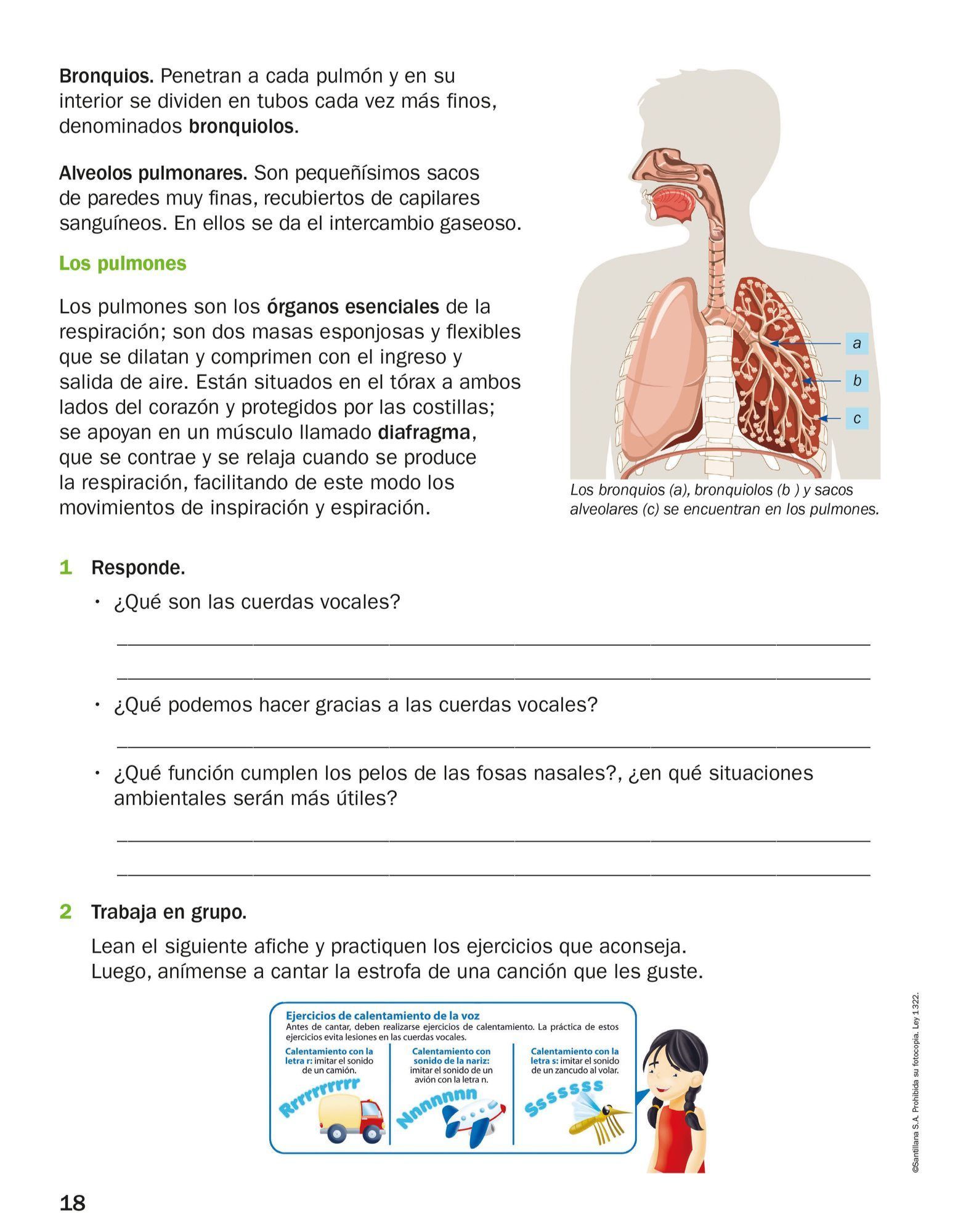 Index of /Recursos/Mi-Mochila-Todo-Genially/Ciencias_Naturales/Cuarto ...