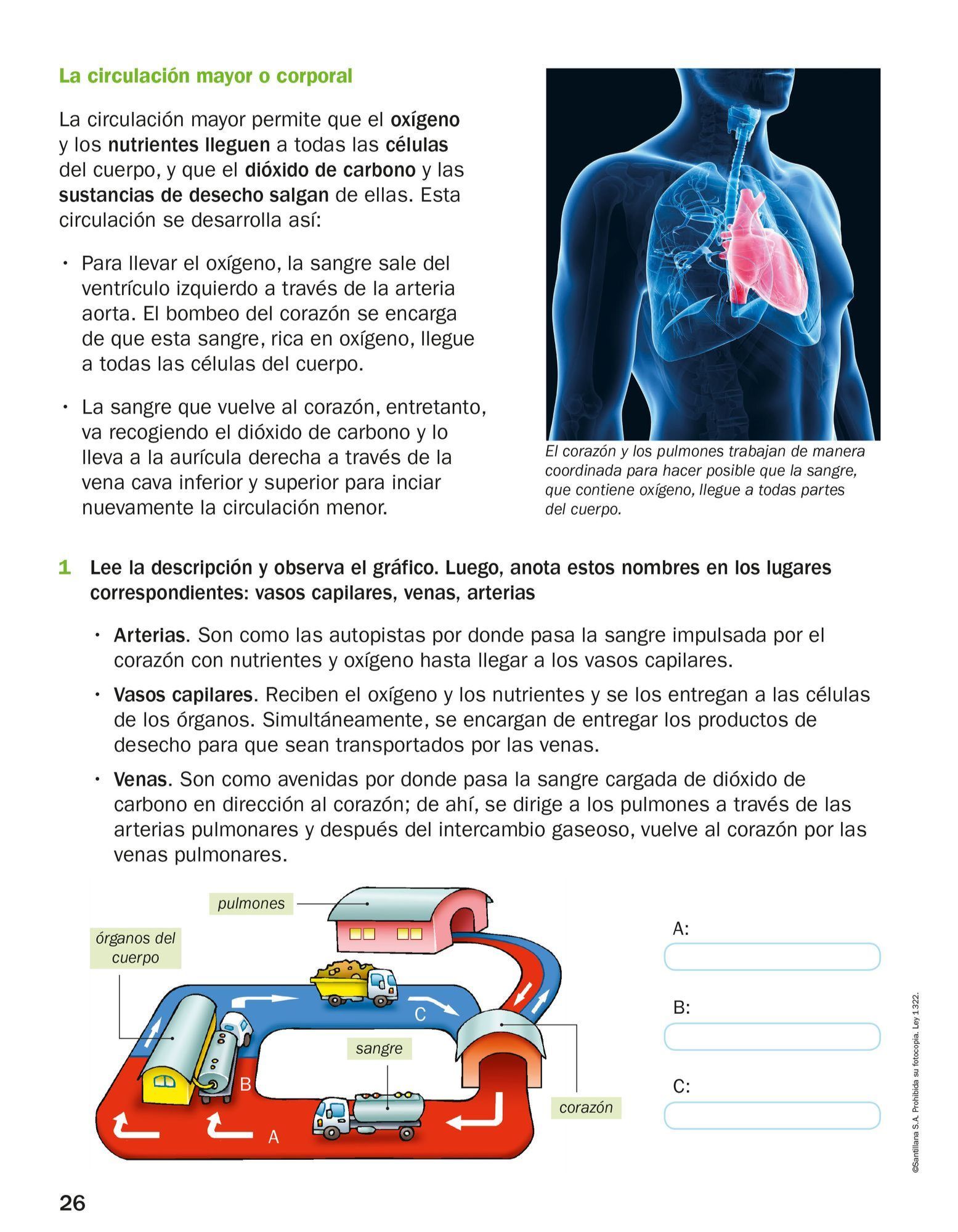 Index of /Recursos/Mi-Mochila-Todo-Genially/Ciencias_Naturales/Cuarto ...